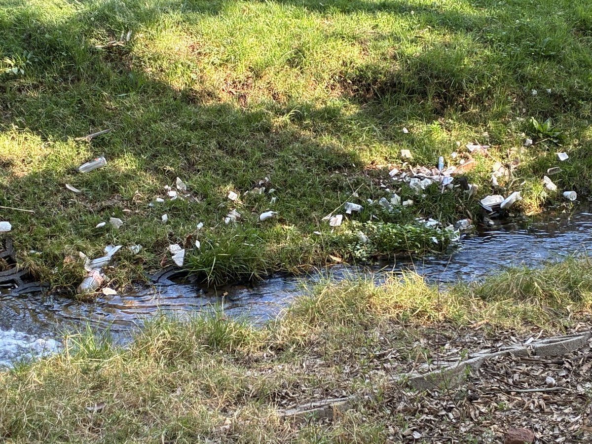 GTalevi's tweet photo. Guys, the amount of litter that is being allowed to choke our waterways is just a disgrace. This is Emmarentia; and while you could do a lot better @JoburgParksZoo it’s the whole of @CityofJoburgZA that needs to act. https://t.co/poVQzbkDKz