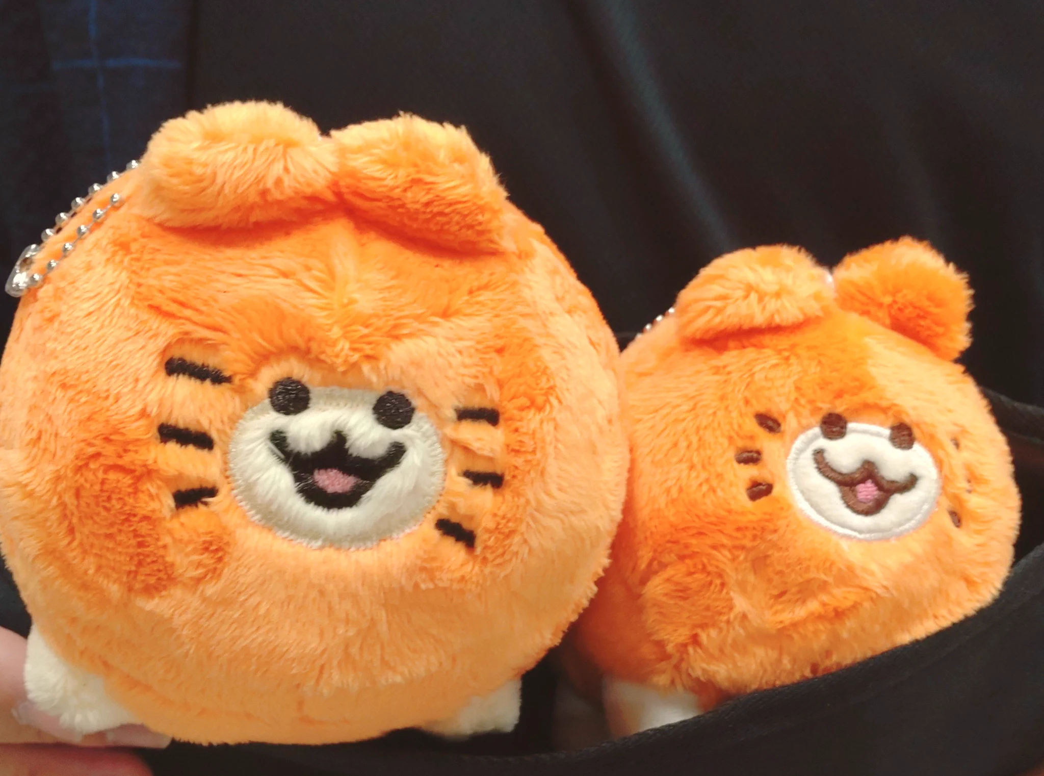 きのこ│みかんねこ🍊🐱WEBショップOPEN! (@Kinoko0714) / X