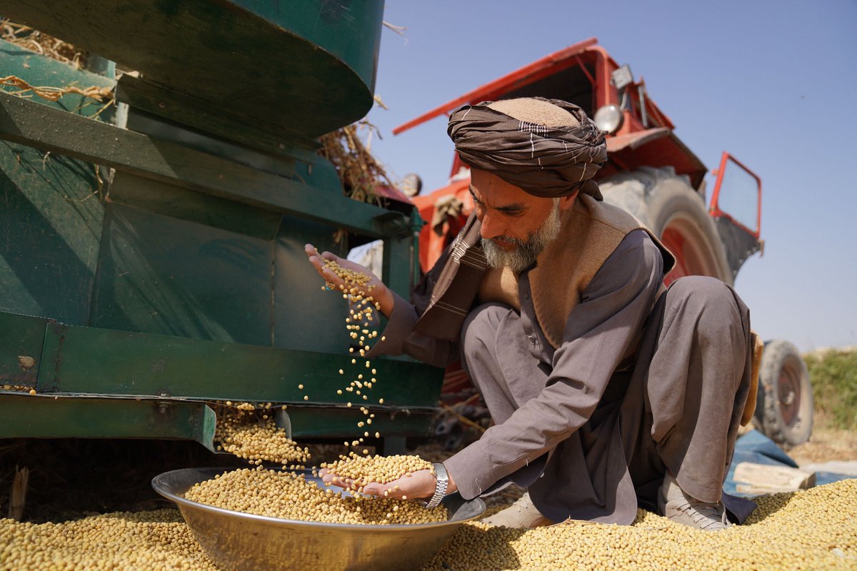 EUinAfghanistan's tweet photo. The #EU 🇪🇺 teams up with @FAOAfghanistan in a €5M partnership to strengthen the climate resilience of Afghanistan’s farmers, connecting agribusinesses to markets, supporting more reliable income &amp; creating rural jobs, with a strong focus on women &amp; youth. https://t.co/bjdrjEKQUT https://t.co/DCLSuXHcJQ