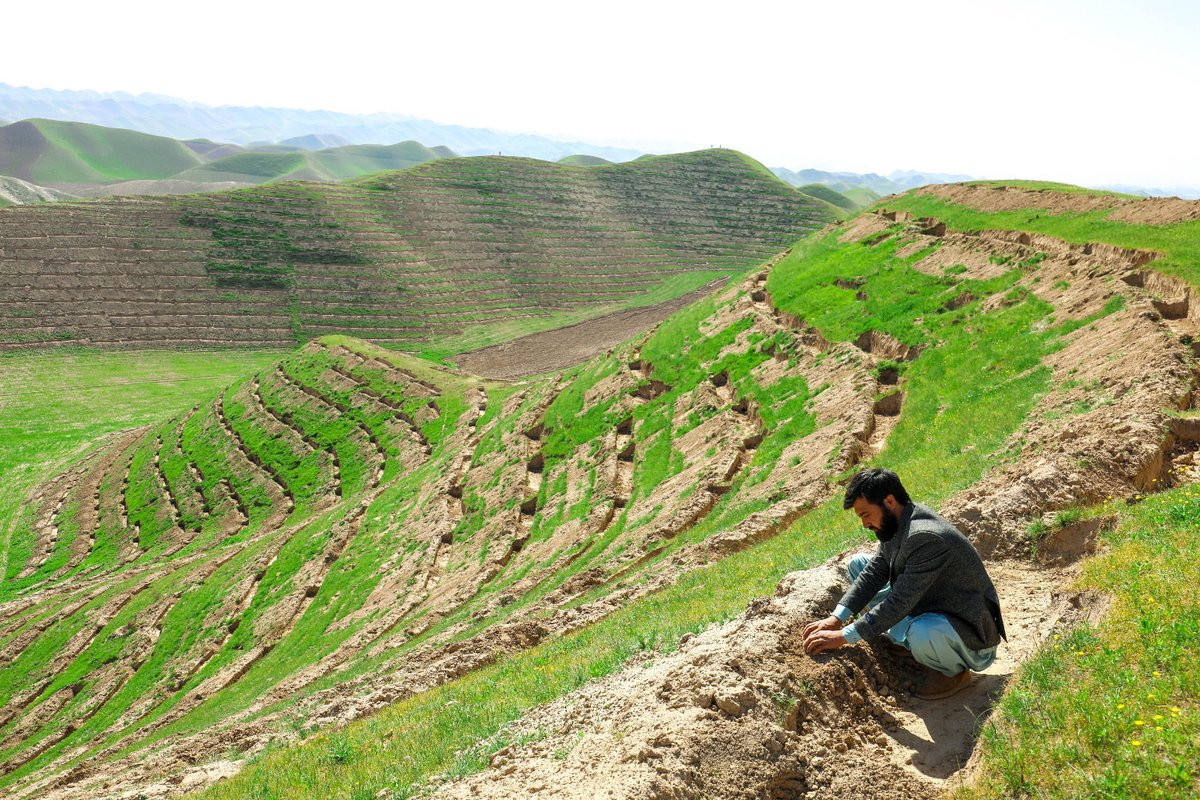 EUinAfghanistan's tweet photo. The #EU 🇪🇺 teams up with @FAOAfghanistan in a €5M partnership to strengthen the climate resilience of Afghanistan’s farmers, connecting agribusinesses to markets, supporting more reliable income &amp; creating rural jobs, with a strong focus on women &amp; youth. https://t.co/bjdrjEKQUT https://t.co/DCLSuXHcJQ