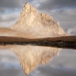 Photo by Martin Rak (@martas_)