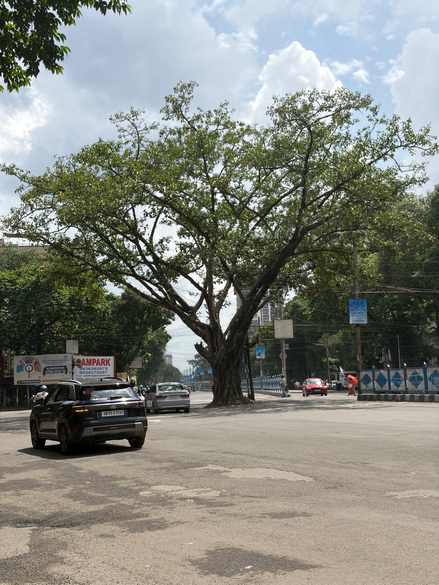 agraraul's tweet photo. Kolkata https://t.co/WvbVuV033b