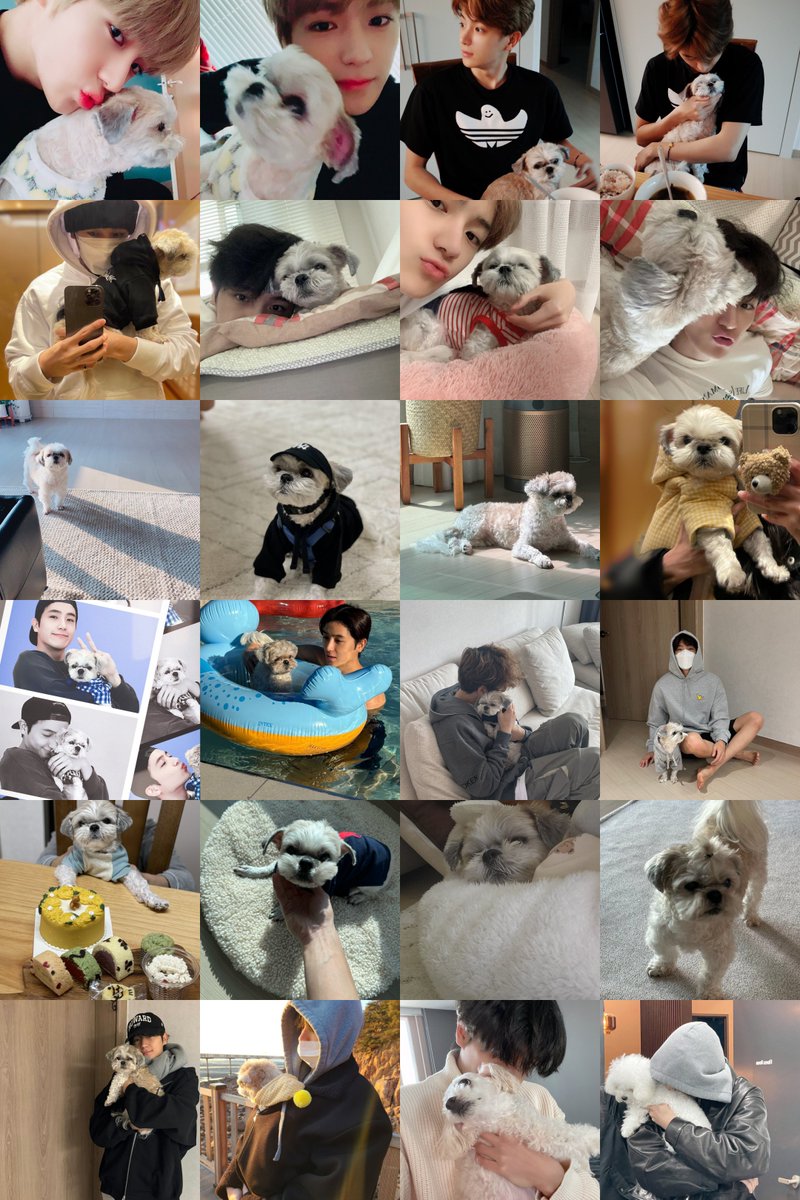 kirrawk's tweet photo. Darong has been with Hyunjae since he was in middle school and he was there for so many years of his life, and became a familiar part of The Boyz member and deobis, so it feels so sad knowing we won't hear about Darong anymore.

Thank you for being by Hyunjae's side all these years. Darong, you were very loved 🤍