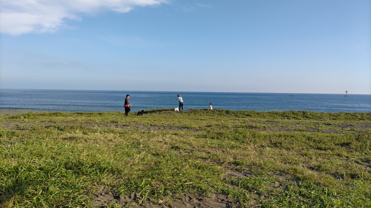 2015104ma328's tweet photo. 母が帯状疱疹に💦右側腹部から背中にかけて発疹が出てます。１０年前になった時は前側だけだったそう。今回は寝る時の痛みがキツイそうです。
今は茹でた栗を剥いてます。夢中になれるから好きと言いながら、、、🌰
#帯状疱疹
お散歩へ海岸に来ました。晴れて風が気持ちいい。 https://t.co/RQiWUXczkN