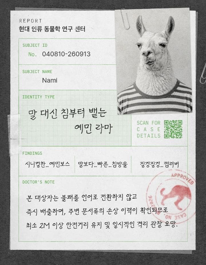 Polkaihan's tweet photo. Soy una llama de salta https://t.co/GlbNSvnRJd