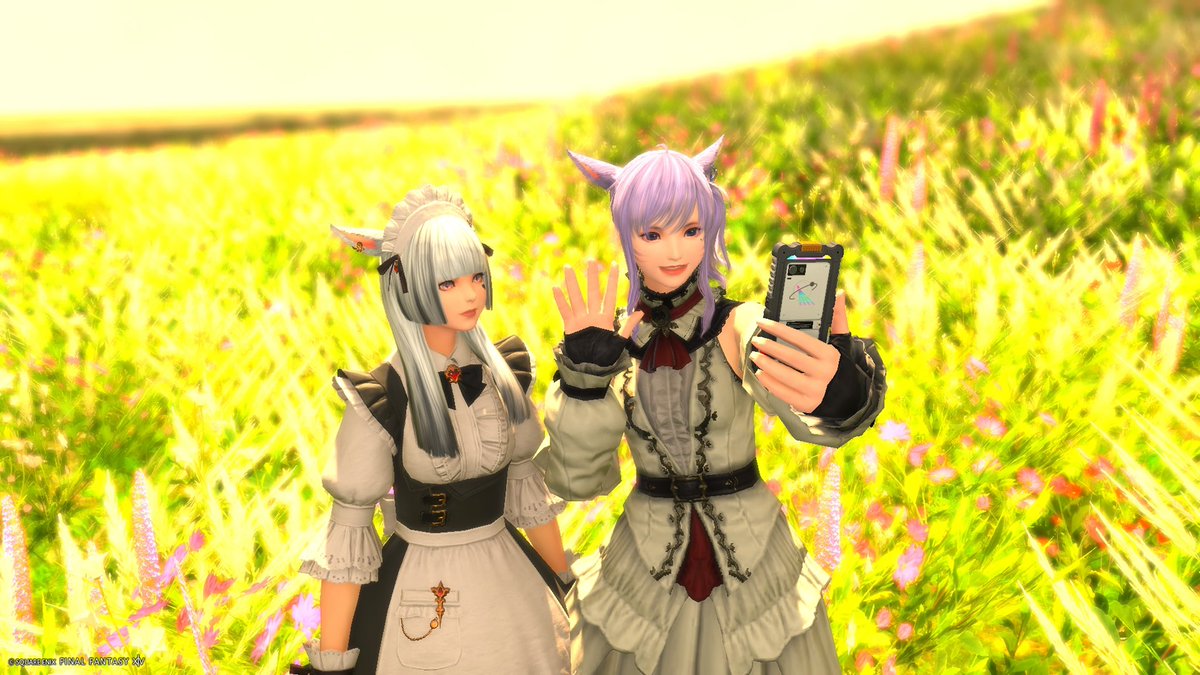 tia_91_'s tweet photo. いい写真撮れた📸 https://t.co/nZheTPiqbi