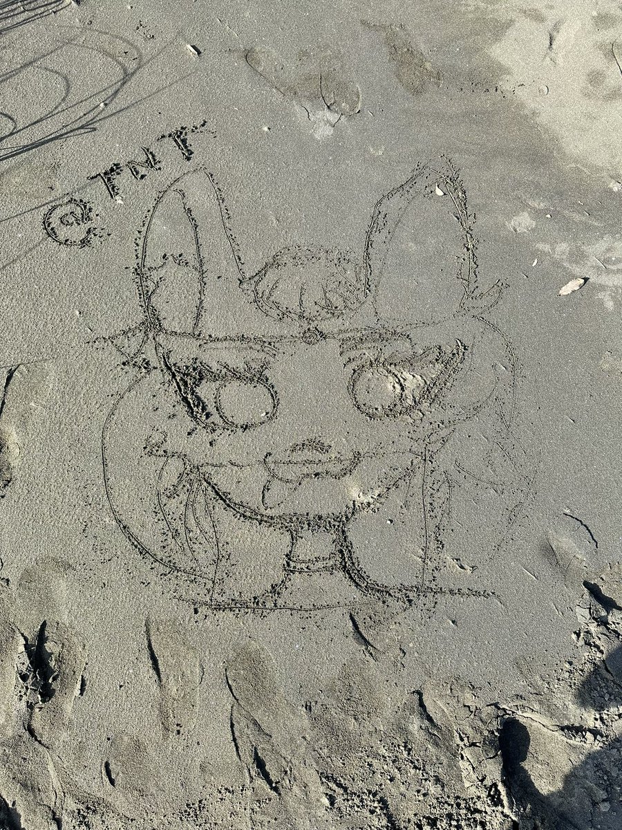 ToneyNotToney's tweet photo. : Beach creations 
#furry #ancient https://t.co/43Two8USIu