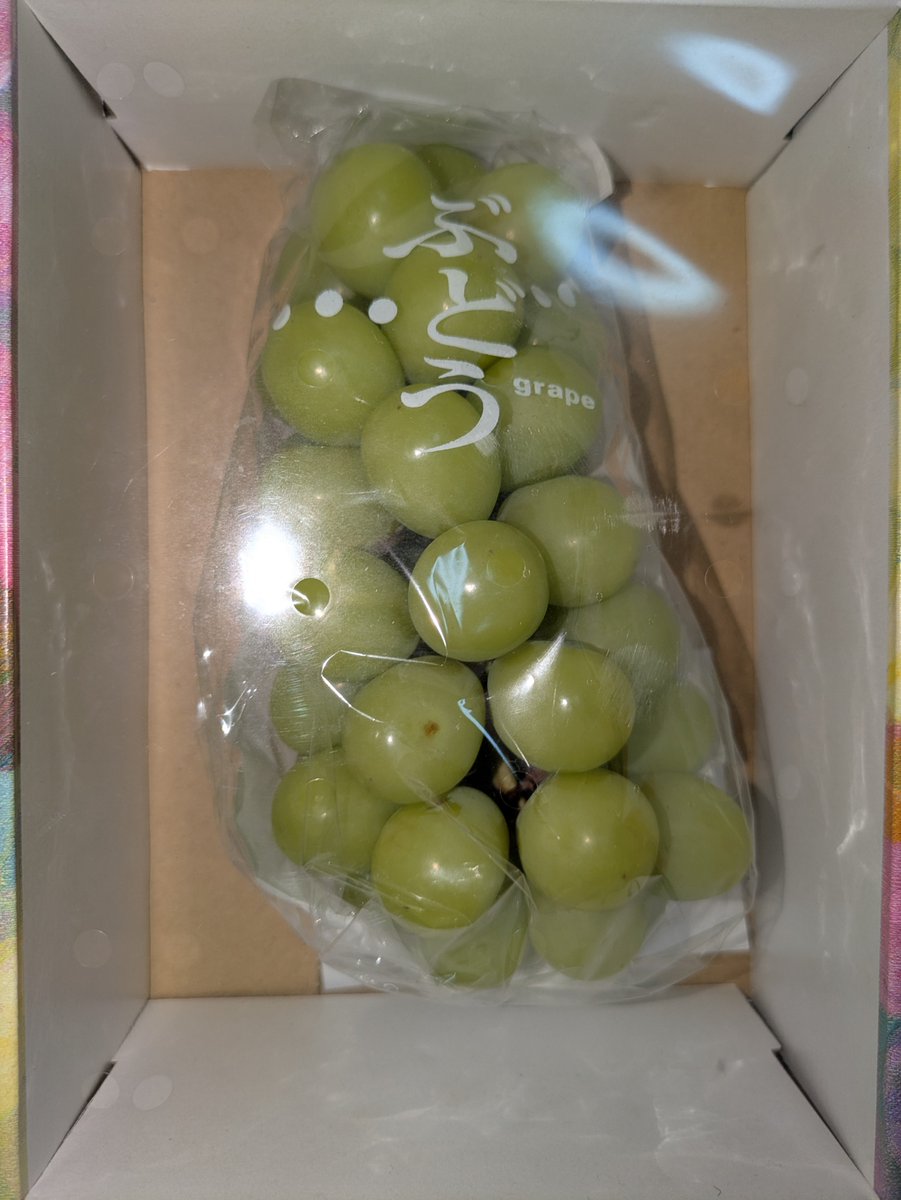 ko0718's tweet photo. 写真が相変わらず下手でアレですが…頂き物です。 https://t.co/0TztaB1lwn