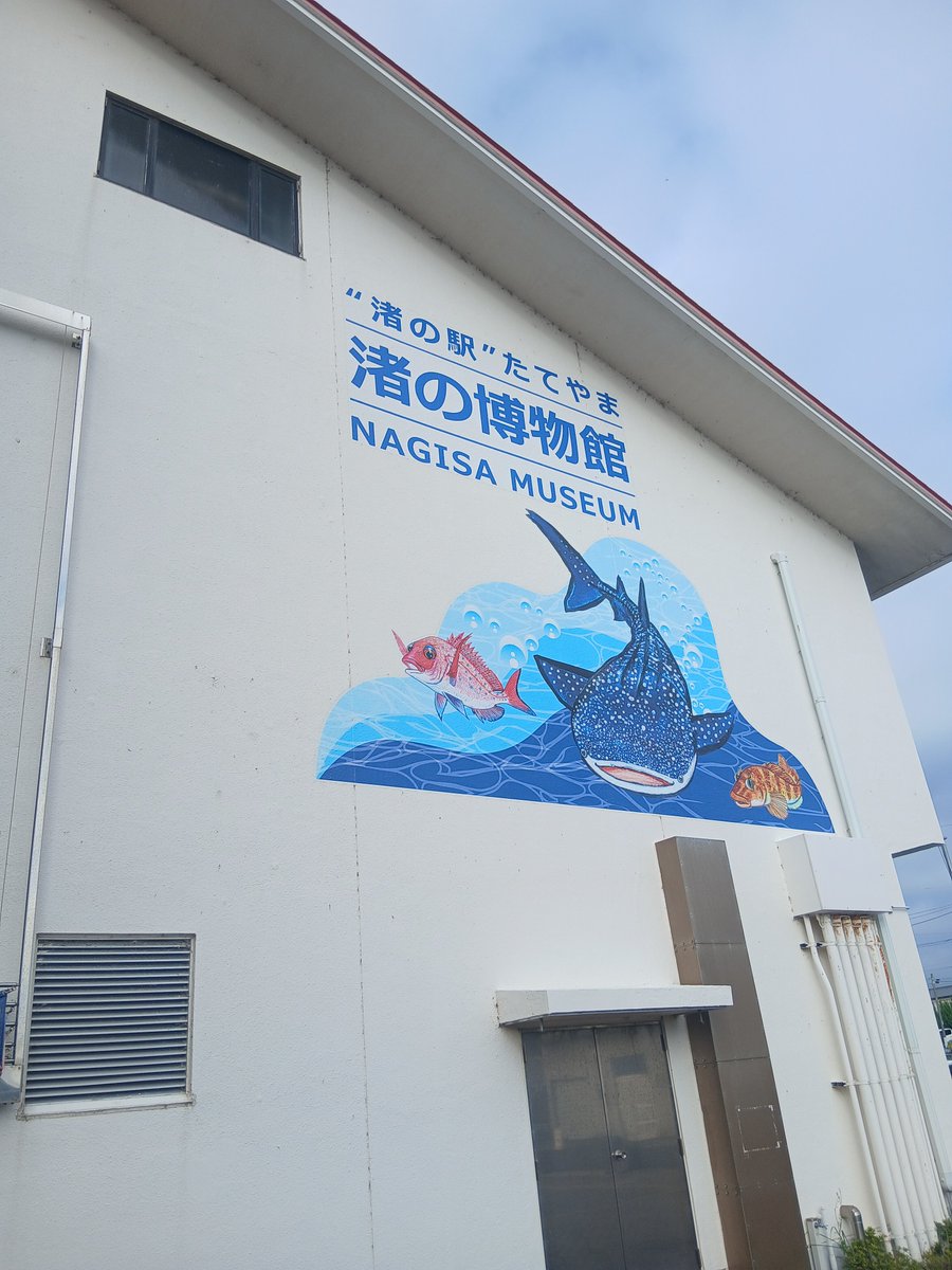 37nobisuke's tweet photo. “渚の駅”たてやま、渚の博物館、
さきほどのなぎさ食堂の連なりにある

さかなくんギャラリーは、無料だけど｢さかなくん｣関連の展示がたくさんあって、おもしろかった https://t.co/RrhI1YQpdf