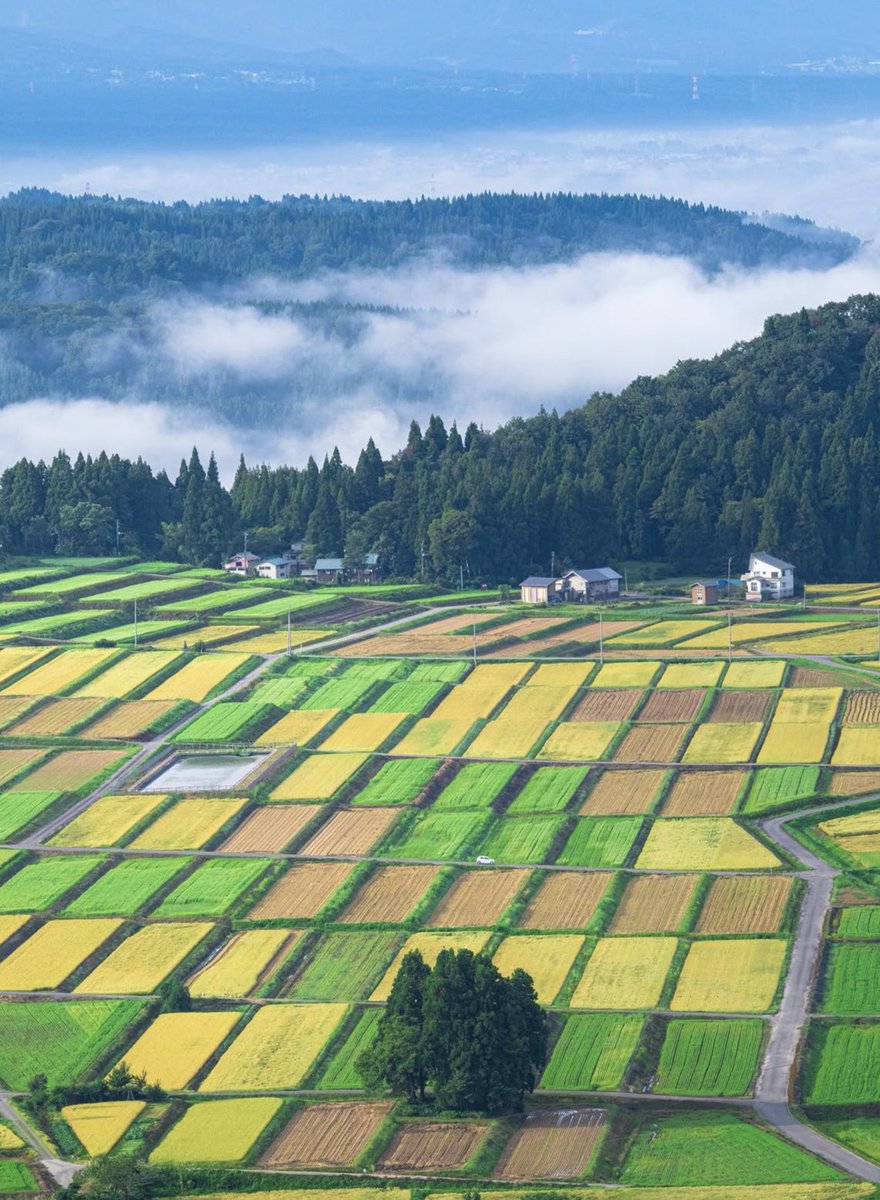voshans's tweet photo. Ochtend in #Ojiya, #Niigata, #Japan
(Foto Aoki Photography)
#fotografie #photography
#travel #travelphotography #sunrise
#landscape #landscapephotography
#natuur #nature #naturephotography #daybreak #dageraad #mist #fog
#Mondriaan #PietMondriaan #landschap https://t.co/Y2TbUmLUiR