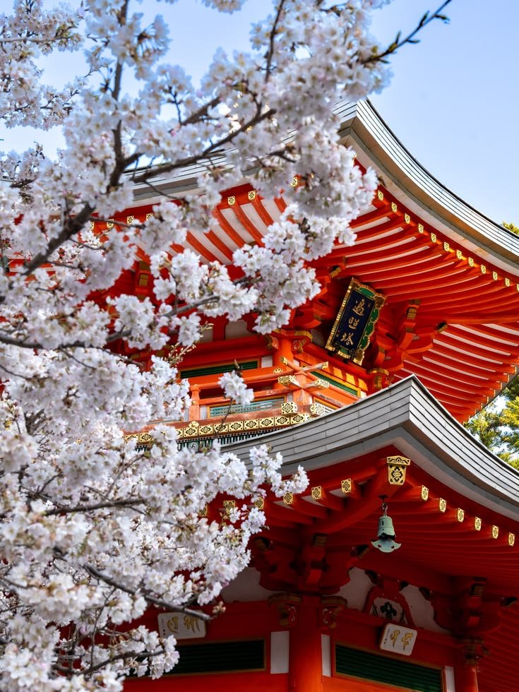 BeautifulA71927's tweet photo. Japan 🇯🇵 https://t.co/wNWlVJP50U