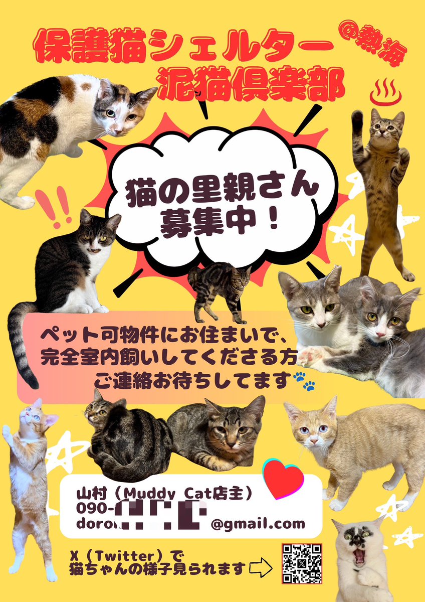 doronekoshelter's tweet photo. AIにもプロのデザイナーさんにも作れないチラシ作った＼(^o^)／ https://t.co/Gn7qsxGqNv