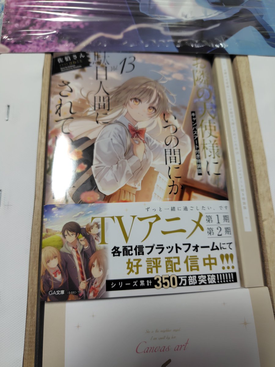 Cretaceous883's tweet photo. キャンバスアートの裏の窪みに本を収納するのいいな
#お隣の天使様
#天使様新刊 https://t.co/xGodoh2c30
