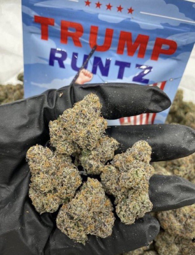 exoticf6's tweet photo. Trump Runtz 📦✈️✅🔥💯

$800
+1 7653352982

https://t.co/GLZ8nuXczj https://t.co/6a7zuB1Msm
