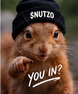 nutzoz's tweet photo. 🥜iNUTZO IS GETTING LOUDER

The community is growing… 👀

Now we wanna know:

What would YOU do if Nutzo went viral? 😂

Reply with your wildest answer 👇

🥜 NUTZO
Community first. Chaos second.

#NUTZO #MemeCoin #Solana #cryptonewsdaily https://t.co/KzVVtIILtf