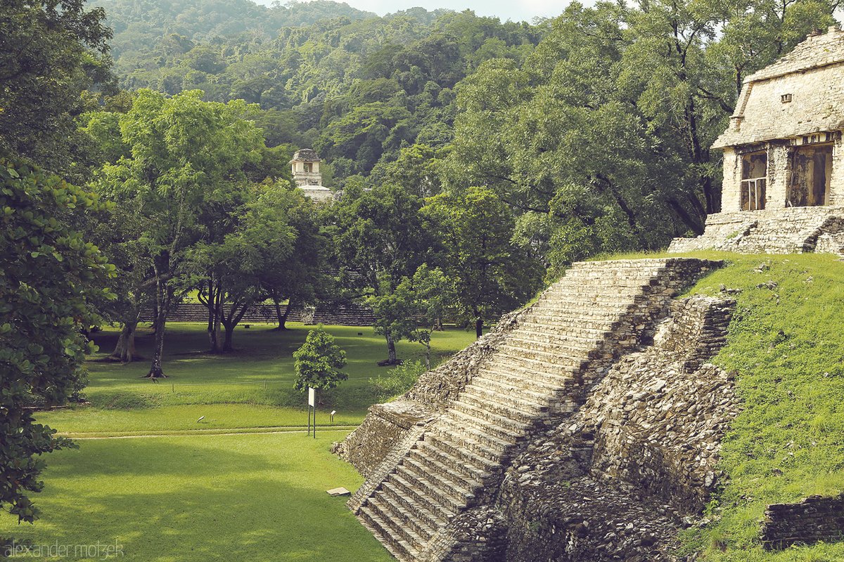 BurakAlp59's tweet photo. Palenque Verde
Palenque, Chiapas, Mexico
📍17° 29' 9. 38" N, 92° 2' 44. 18" W
🌍Ancient Maya ruins in a lush Palenque jungle - a serene glimpse into Chiapas' history.. https://t.co/zJkRnldGX6