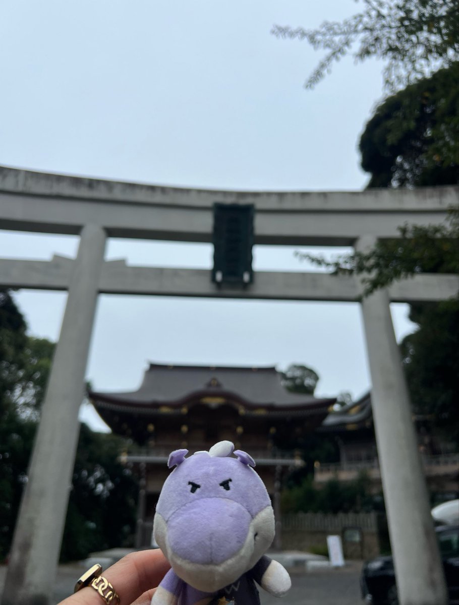 kf_mie's tweet photo. 今日は運気を上げるために、神社巡り⛩️🩵🩵🩵🐬
#フロサポ水戸訪問 https://t.co/T2che0JoEL