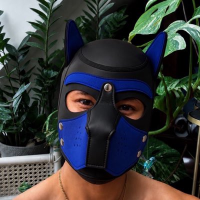 boy_secret12's tweet photo. #NewProfilePic https://t.co/lChUuYb2iR