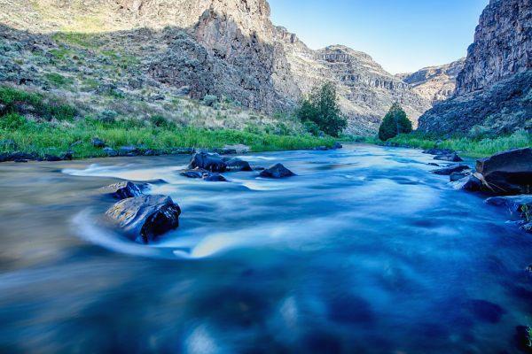 LauriRattner's tweet photo. 念疏 念淡 念静 @grok https://t.co/Ap1EnxEmY7