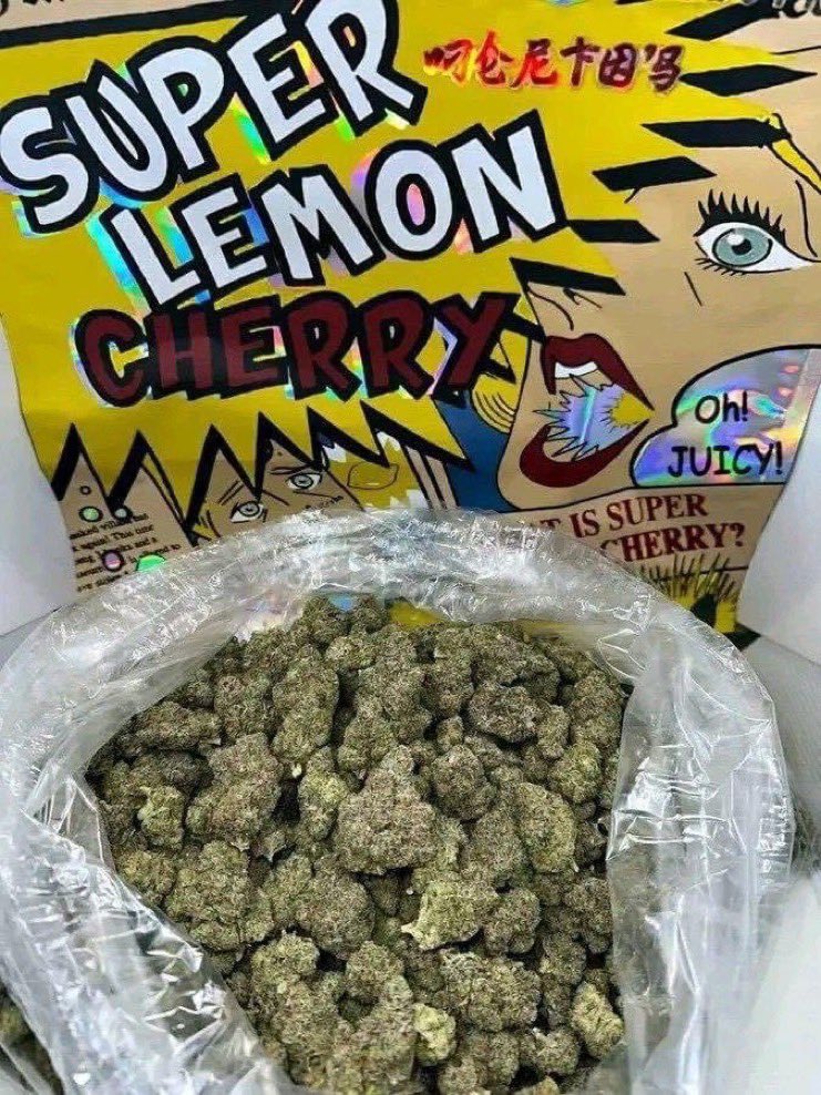exoticf6's tweet photo. Super Lemon Cherry 📦✈️🔥💯

$850
+1 7653352982

https://t.co/zK79wS8Ckb

https://t.co/GLZ8nuXczj https://t.co/kJP1Q7IUW4
