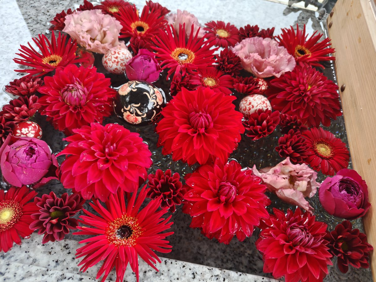 Simone_Alphecca's tweet photo. 久し振りに直で見てきたけど綺麗だったー https://t.co/BxXfw4dHVQ