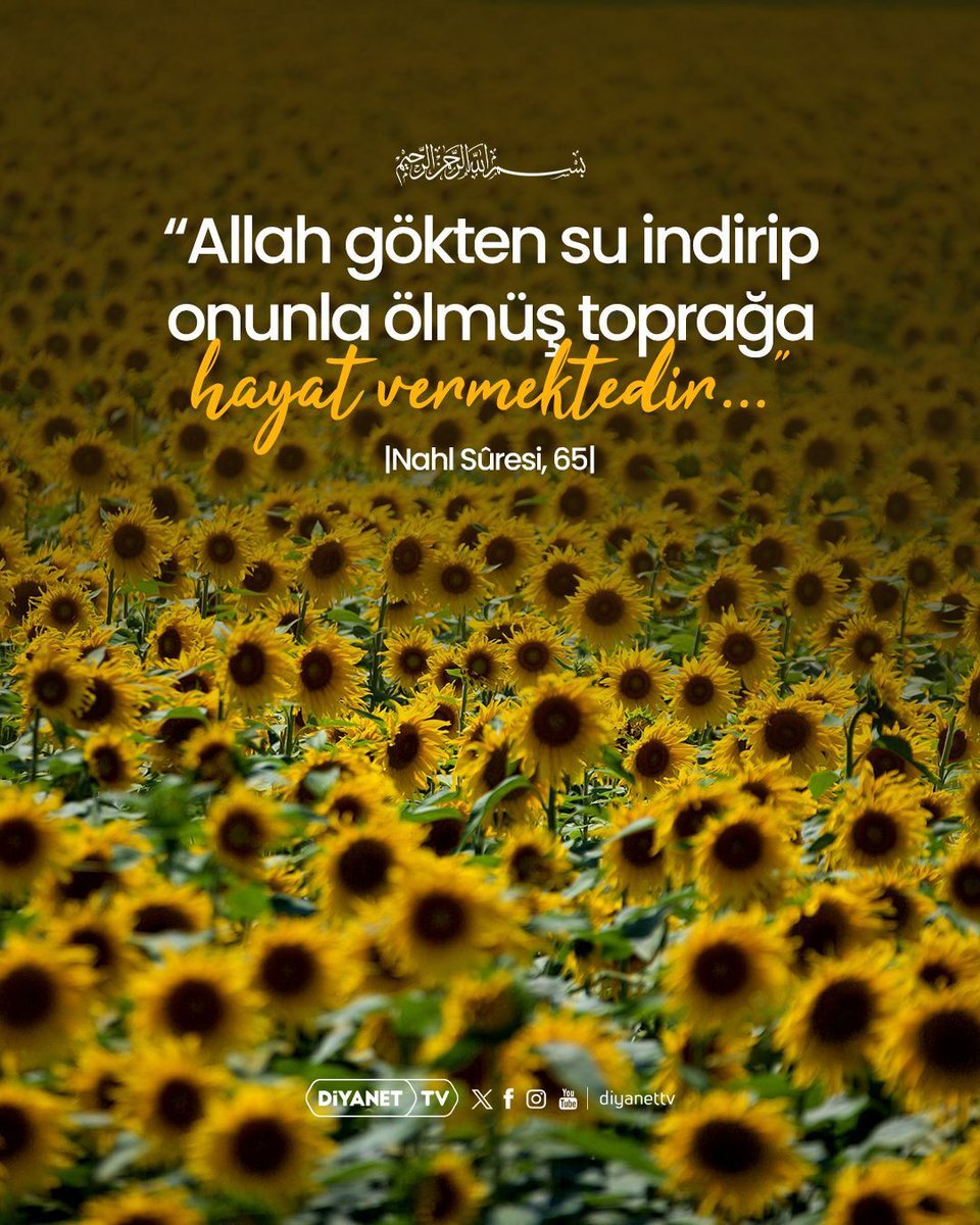 DiyanetTV's tweet photo. Rahmân ve Rahîm olan Allah’ın adıyla...

❝Allah gökten su indirip onunla ölmüş toprağa hayat vermektedir...❞

|Nahl Sûresi, 65| https://t.co/wcTshKWbws