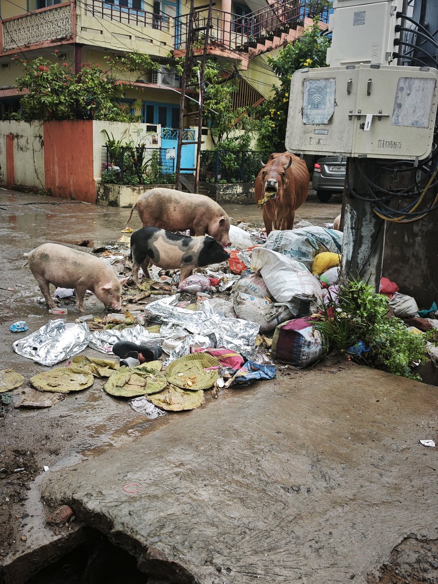 ChalapathiSrin1's tweet photo. @naralokesh ! Dear Sir , Maa Area Anaga MLA Kondababu Gaari Inti Nunchi  2 Streets Tarwatha ..  Maaa Situation idhi ...Munciple Staaff Work Chesthunna Sare Area Position Idhe ... Emainaaa Ante Ikkada Vaallu Kondababu Maa Vaade Antunnaru  ... Solve avvudhi anukuntunna sir https://t.co/MIVqBv3afD