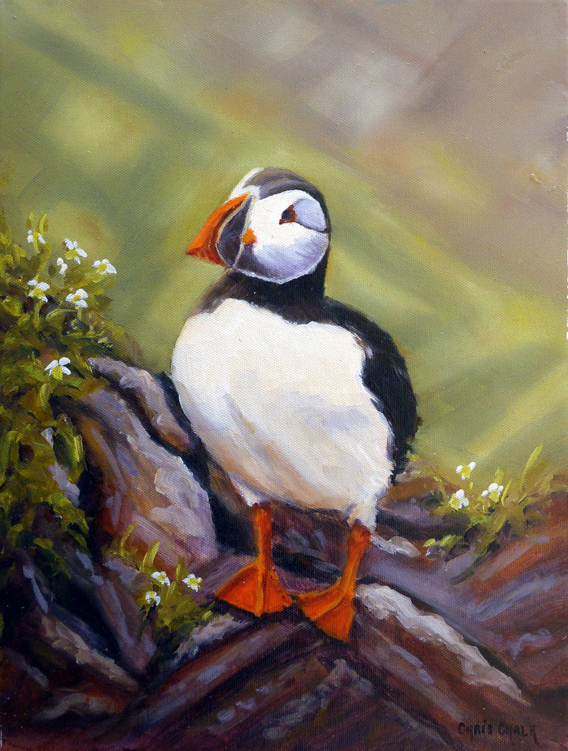 chrischalkart's tweet photo. Puffins Rock, 16x12inch, oil.
A painting inspired by a trip to Skomer island, off the coast of Pembrokeshire. Skomer is a magnificent nature reserve managed by the Wildlife Trust of South and West Wales, and it's where tens of thousands of puffin nest and breed each year. https://t.co/WTrrABFdqL