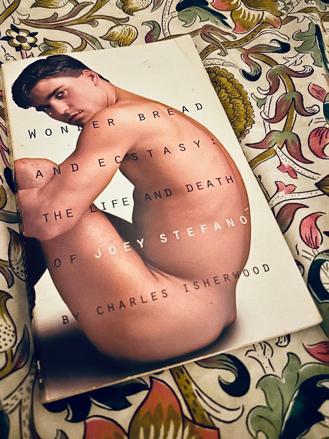 PerfectlyHard's tweet photo. I walked into my room and found Joey Stefano naked on my bed. Actually it was a copy of Wonder Bread and Ecstasy: The Life and Death of Joey Stefano by Charles Isherwood that was published in 1996.

#joeystefano #books #biography https://t.co/VoYPz1VOGY
