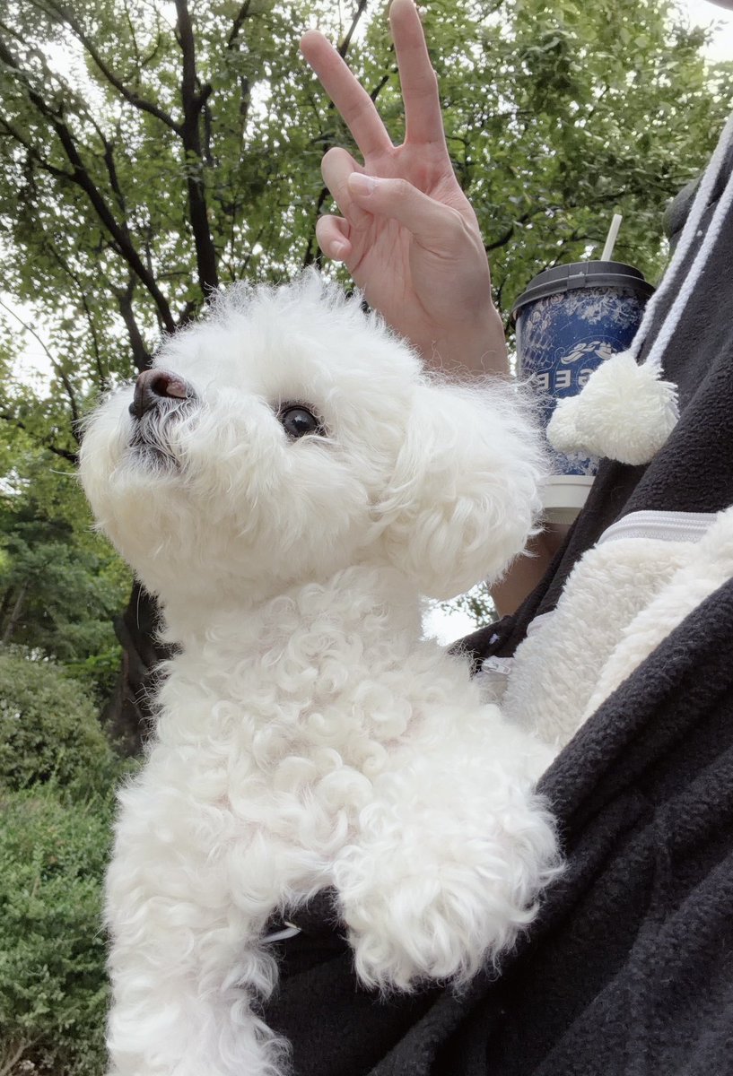 ckitte_'s tweet photo. 선물 고마워요 천러씨 ^^ https://t.co/nTuz7XBOI4