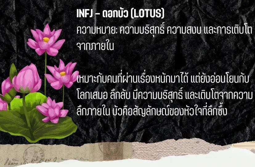 ib_gust's tweet photo. ขอต้อนรับเข้าสู่ด้อมบ้านเขียว #MBTI 💚
อันดับ 1 ไทป์ที่หายากที่สุดและเป็นไทป์คนอินโทรเวิร์ตแต่มีความเป็นเอ็กโทรเวิร์ตที่สุด #INFJ 🤭 https://t.co/1uACnF3yT7