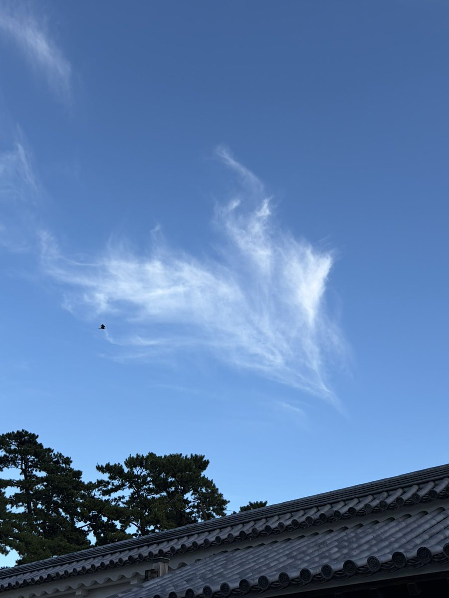 nikuman55800's tweet photo. BUMPみたいな雲あった https://t.co/W2Mrh4Yp7g