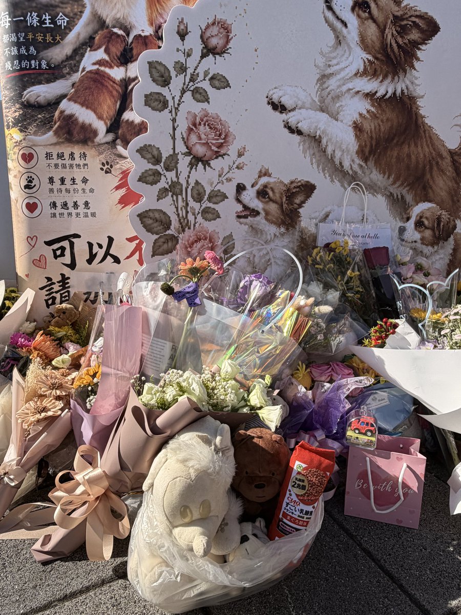 PeiLiu570497's tweet photo. 🇹🇼 台灣｜為旺旺與三個孩子發聲

今天，我們在台灣聚集。

不是為了製造仇恨，而是為了一個不應該被遺忘的生命。

旺旺曾經活著，曾經奔跑，也曾經保護著她的三個孩子。
她不應該以那樣的方式離開這個世界。

而她的故事，也不應該就此結束。

今天，我們用自己的方式記住旺旺，
也讓這個聲音繼續傳向世界：

不放棄。
不忘記。
不原諒。

我們希望每一個生命都能被看見，
每一次虐待都能被重視，
每一個施暴行為都應該受到追究。

Wang Wang may be gone,
but her story is not over.

From Taiwan, we stand with Wang Wang and her three puppies.

Justice for Wang Wang.

#JusticeForWangWang
#NeverForgetWangWangAndHerPuppies
#StopAnimalCruelty
#ChinaAnimalProtectionLaw
#Taiwan
#台灣為旺旺發聲