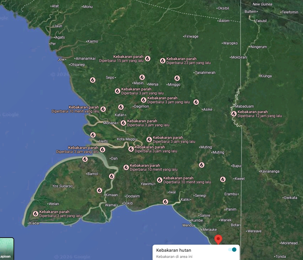 RubberAndriana's tweet photo. @twoyulll sepertinya bukan hanya di kalimantan saja , di cek di google map hampir seluruh indonesia ya, kecuali negara tetangga hutannya aman aman saja https://t.co/MX8MF2lnss