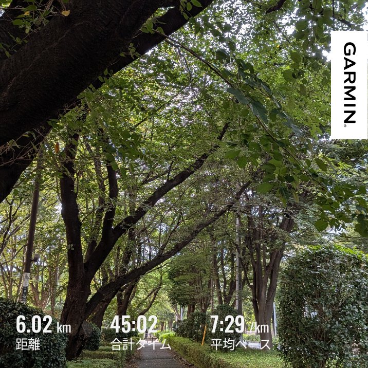 masumy77's tweet photo. #garmin 雨続きで10日ぶりに走った。夫にお尻を叩かれて走ったけど、走ってよかった。気付けば来月は横浜ハーフだしね、、、高速メインのハーフ😖エントリー後悔もあるけど、もう走るしかない🔥 https://t.co/AkH1sIu7sr