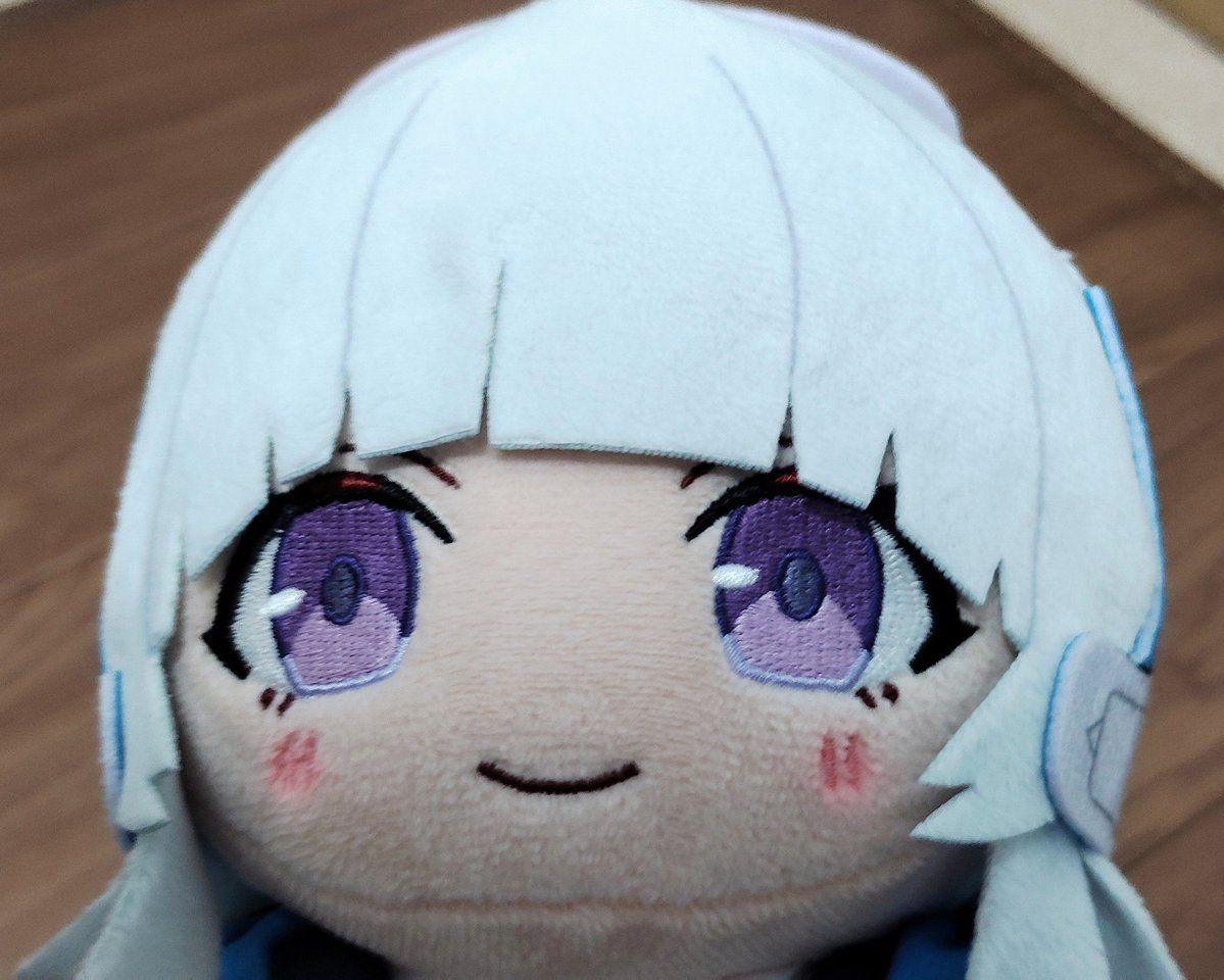 MinceCutlet_314's tweet photo. このノアぬいまん丸すぎる https://t.co/rCF2F4cJZL