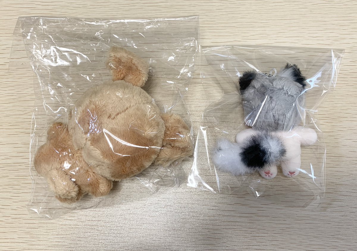 eeerssu's tweet photo. 데못죽 청려 콩이 속성 10cm 콩이+5cm미니베베청려 일괄 운미포 5에 판매합니다. 
(일괄로만 판매합니다.)

CU편의점 택배만 이용
반값택배 +0.2
일반택배 +0.4
교환, 환불 X 바로 구입하실 분만 디엠 부탁드립니다. https://t.co/SBMPu1YuHL