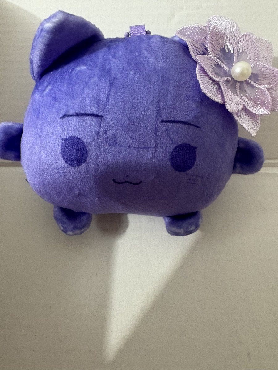 gnc0920's tweet photo. 什麼生物 https://t.co/2xhqdYc7jD