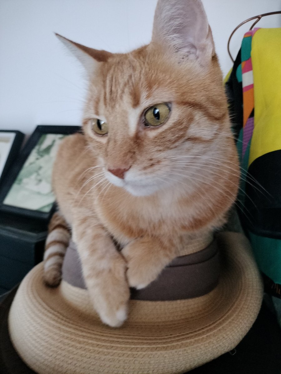 Hugo25880566315's tweet photo. @Rainmaker1973 Puto giro 🥰 https://t.co/mmJy3snxEz