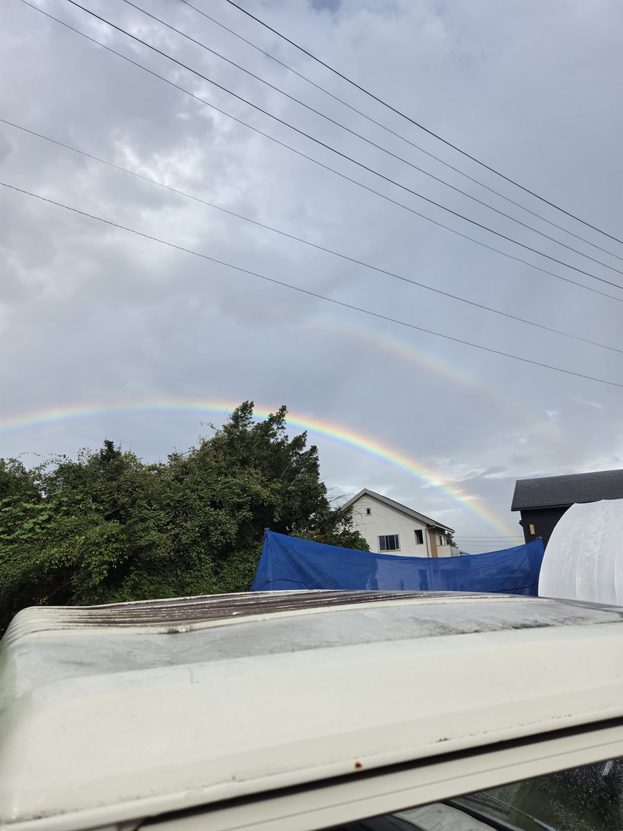 nekoreo's tweet photo. わーい
ダブル虹だー！
じゃねーよボケェ！
久しぶりに晴れたと思って稲刈りしてたら夕立きて中止
終わる目処がたたない…… https://t.co/oZU2iOJT0P