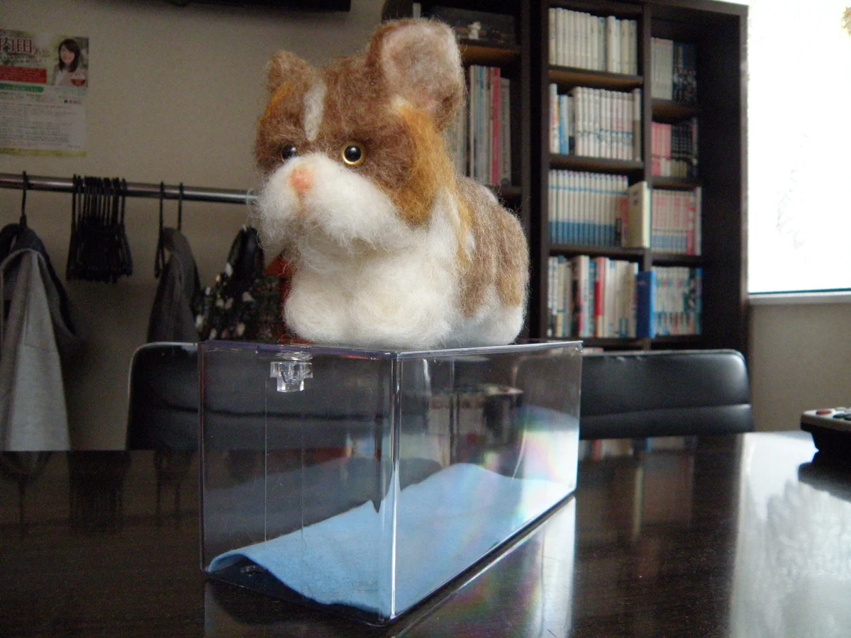 猫カフェ ニャンシー on X: 