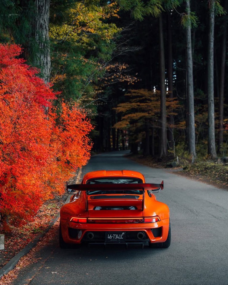 FAFBulldog's tweet photo. https://t.co/333gwGhJCf
