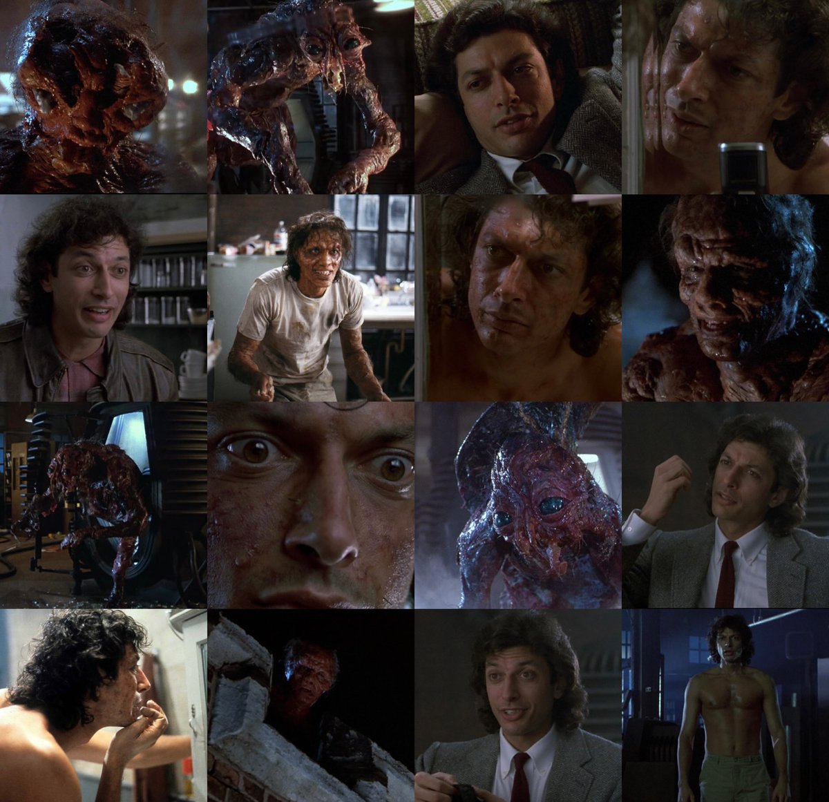 AcaparoLeche's tweet photo. “Be afraid. Be very afraid”-Released 40 years ago today, ‘The Fly’ is one of the greatest horror remakes of all time, and one of the best sci fi horror films ever. It’s a masterclass in body horror, and the central love story is so heartbreaking, https://t.co/htHDMEBnZ7
