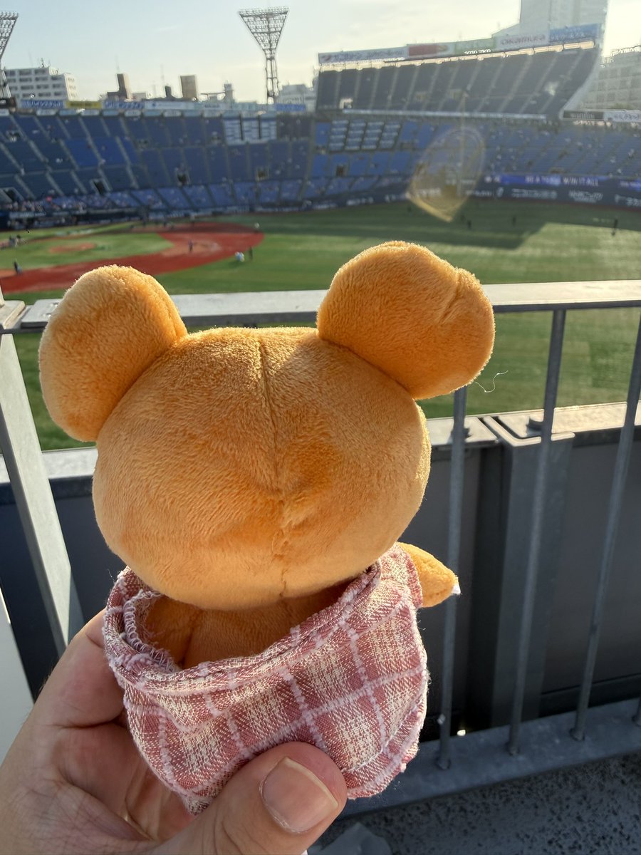 yasureal's tweet photo. 今日はここから👇 https://t.co/H1ziE0U78m