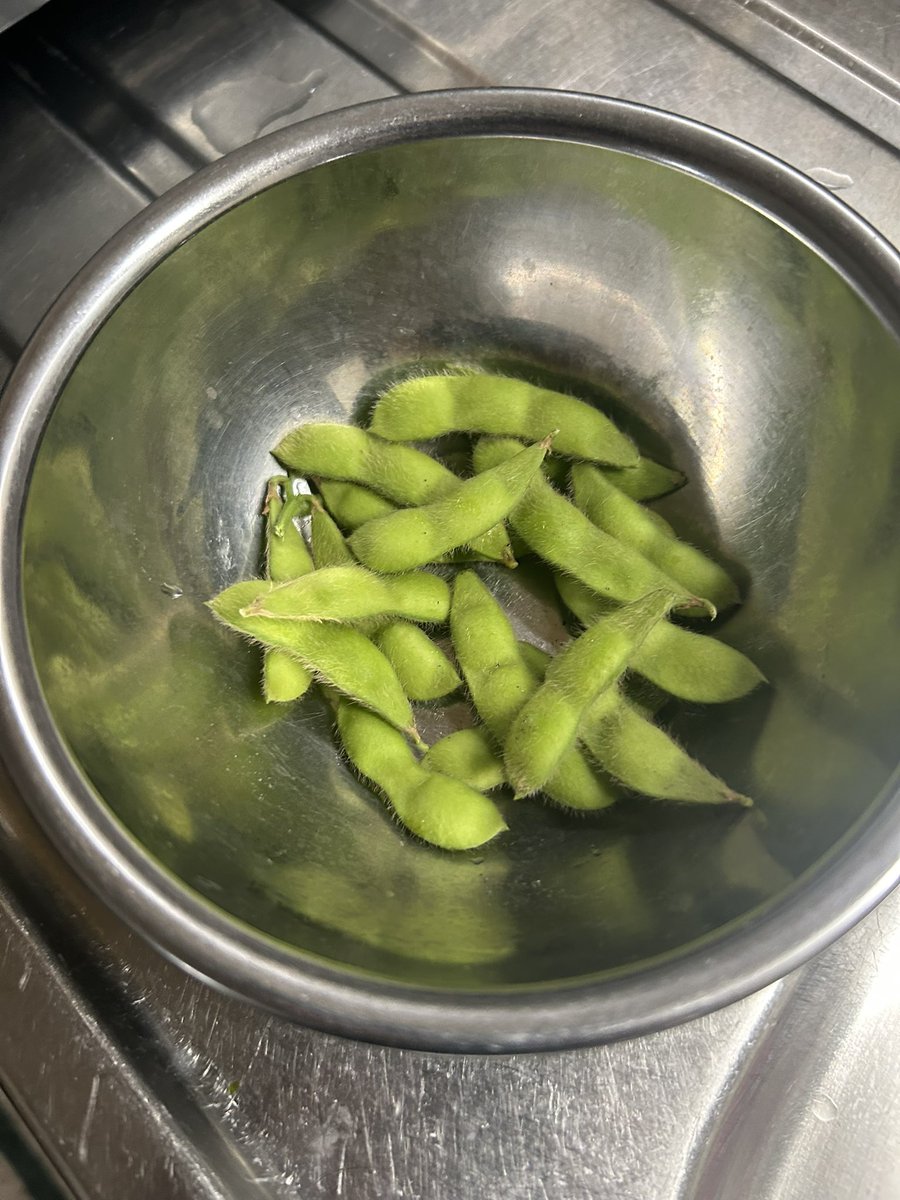 723Roku's tweet photo. 前々から庭に野菜を植えたいと思ってまして、枝豆、インゲン、ズッキーニを植えました。枝豆を収穫しました。湯がいて食べましたら、抜群に美味しくてびっくり！
茶豆風とありましたが、茶豆そのもの。まだ収穫出来る物があるので、豆が膨らむのを待って収穫したいと思います😆 https://t.co/6MSRcQJM6W