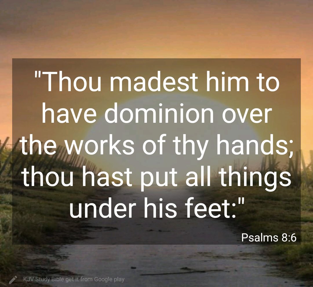 benkp88's tweet photo. #verseoftheday
#Psalms https://t.co/IyR4NDjwj0