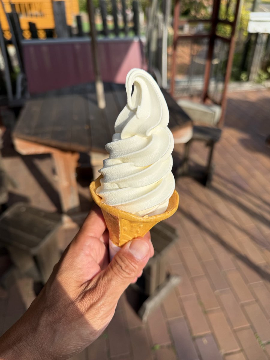 AUTOTEST_OB's tweet photo. カツカレー🍛650円
ソフト��リーム🍦380円 https://t.co/fmbkzGC16U