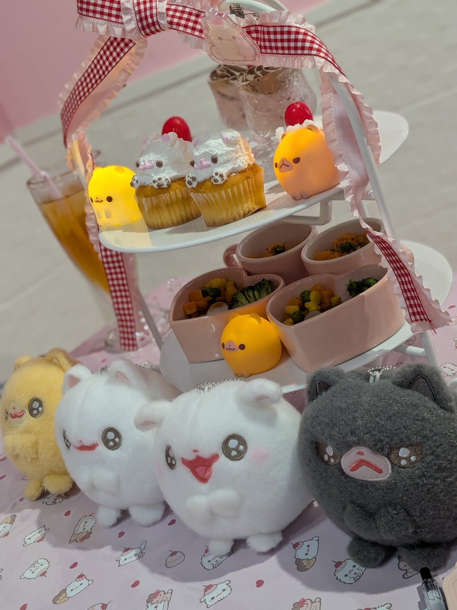 shimba0111's tweet photo. 初✩アフヌン��！

可愛いが渋滞してた…(*´Д｀)
ピンクぃ場所なんて似合わないけど、世界観に浸れるのはいい気持ちだったなぁ😊😊😊

またなんかあったらいこぉ〜
(お店の人も優しかったな)

#ポメラニアンもち https://t.co/2REca4Zkag