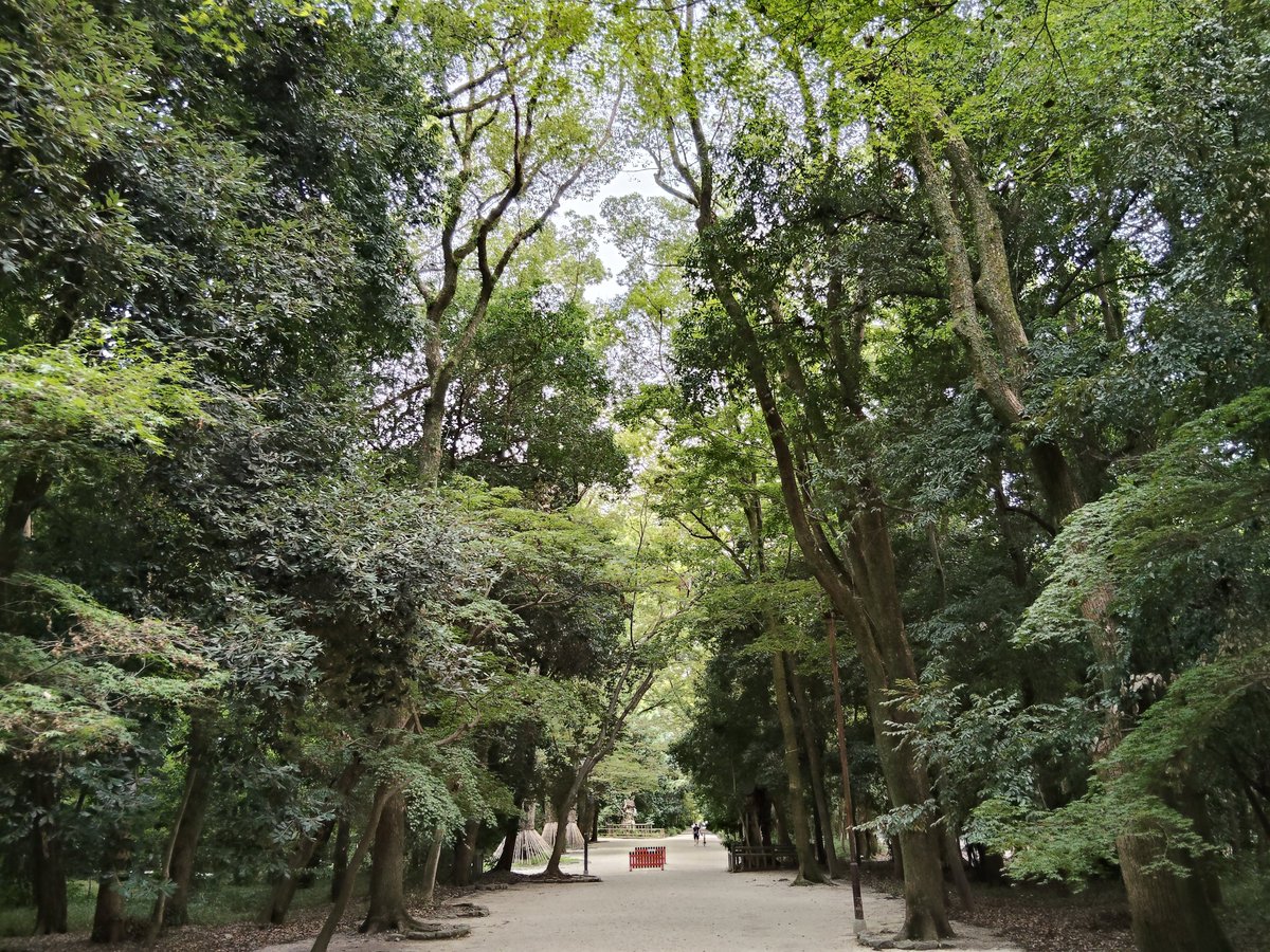 Flyingsheep1326's tweet photo. 夕さんぽ＠賀茂御祖神社(下鴨神社)⛩️
#旅美酒 https://t.co/s3g2H9BAJX