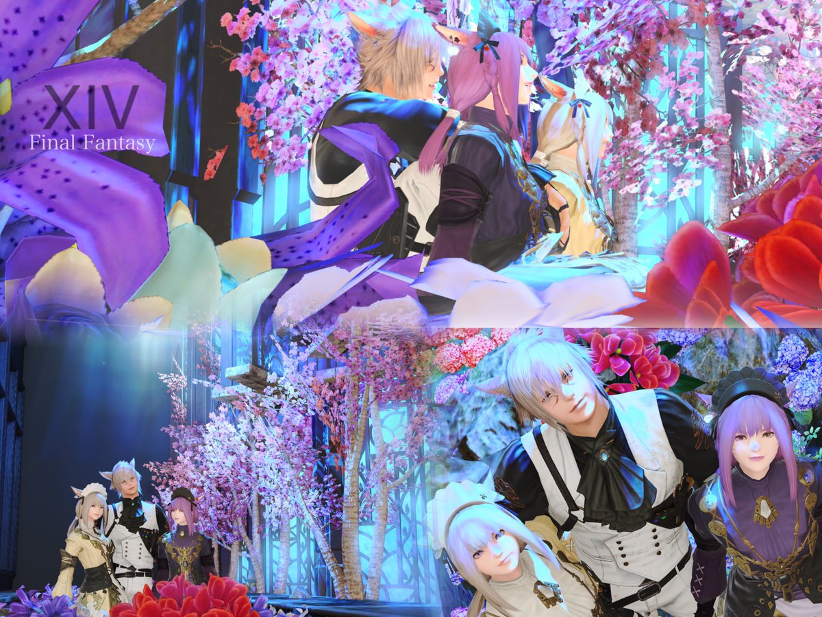 Haru_Miqo22's tweet photo. 王子と姫コンセプトで3人でお出かけ\(*´▽`*)人(*´▽`*)人(*´▽`*)ノ
お花やステンドグラスの使い方がとても綺麗なスタジオ様でした!
どうやって撮ろうかとかたくさん話しながら撮るの楽しくて面白かったです✨️
#FF14 #StudioMM https://t.co/lWR75AFJsg